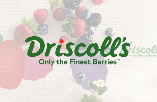 Customer cases_Header_Visual_Driscolls