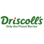 Driscoll's