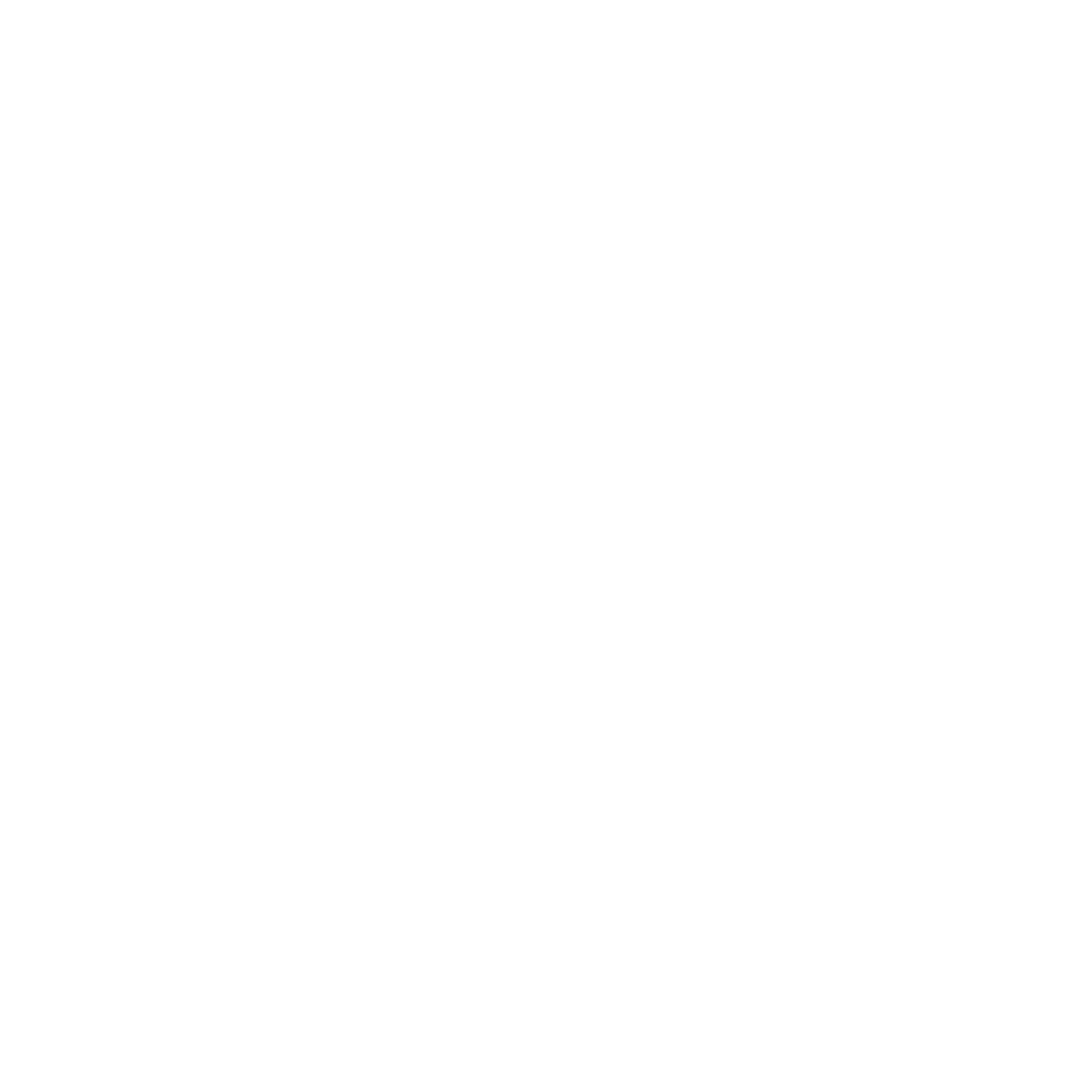 Icon_Dynamic Discounting (white)