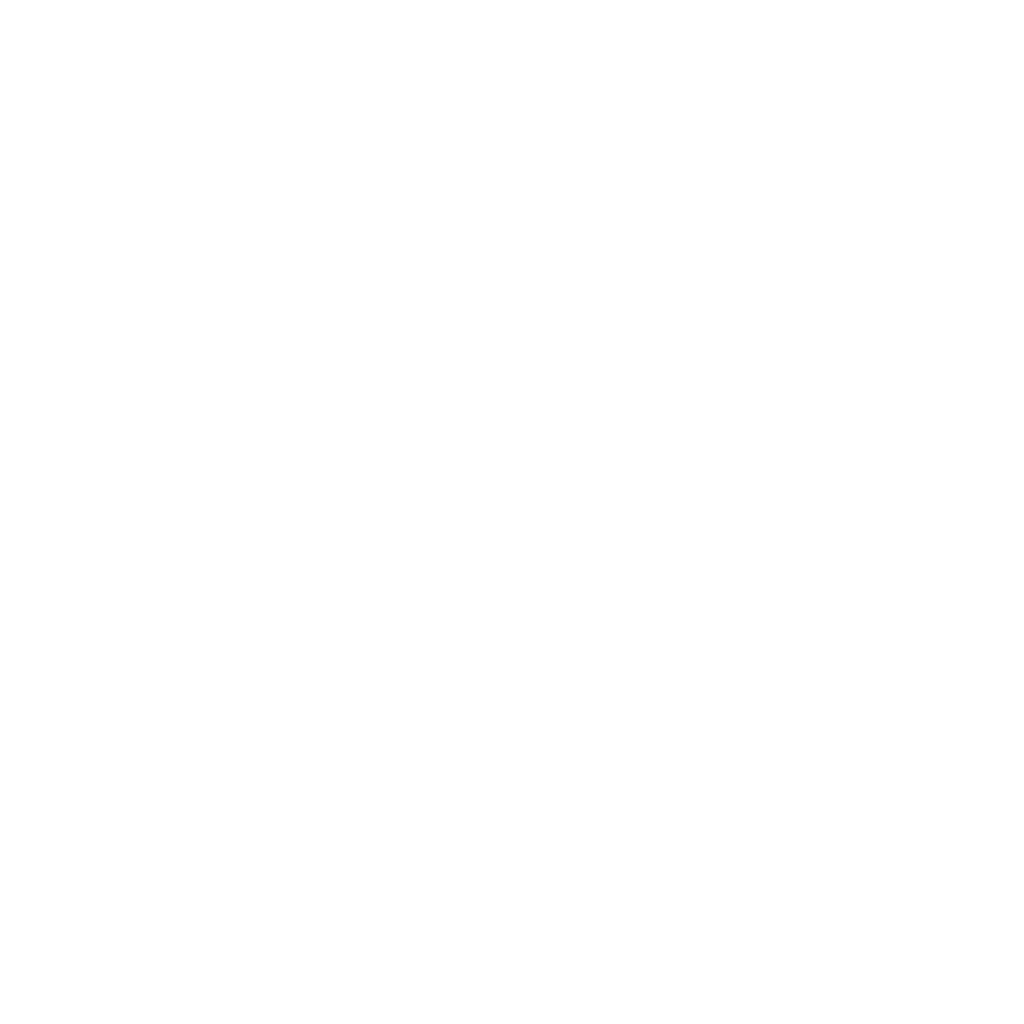 Icon_E-invoicing (white)