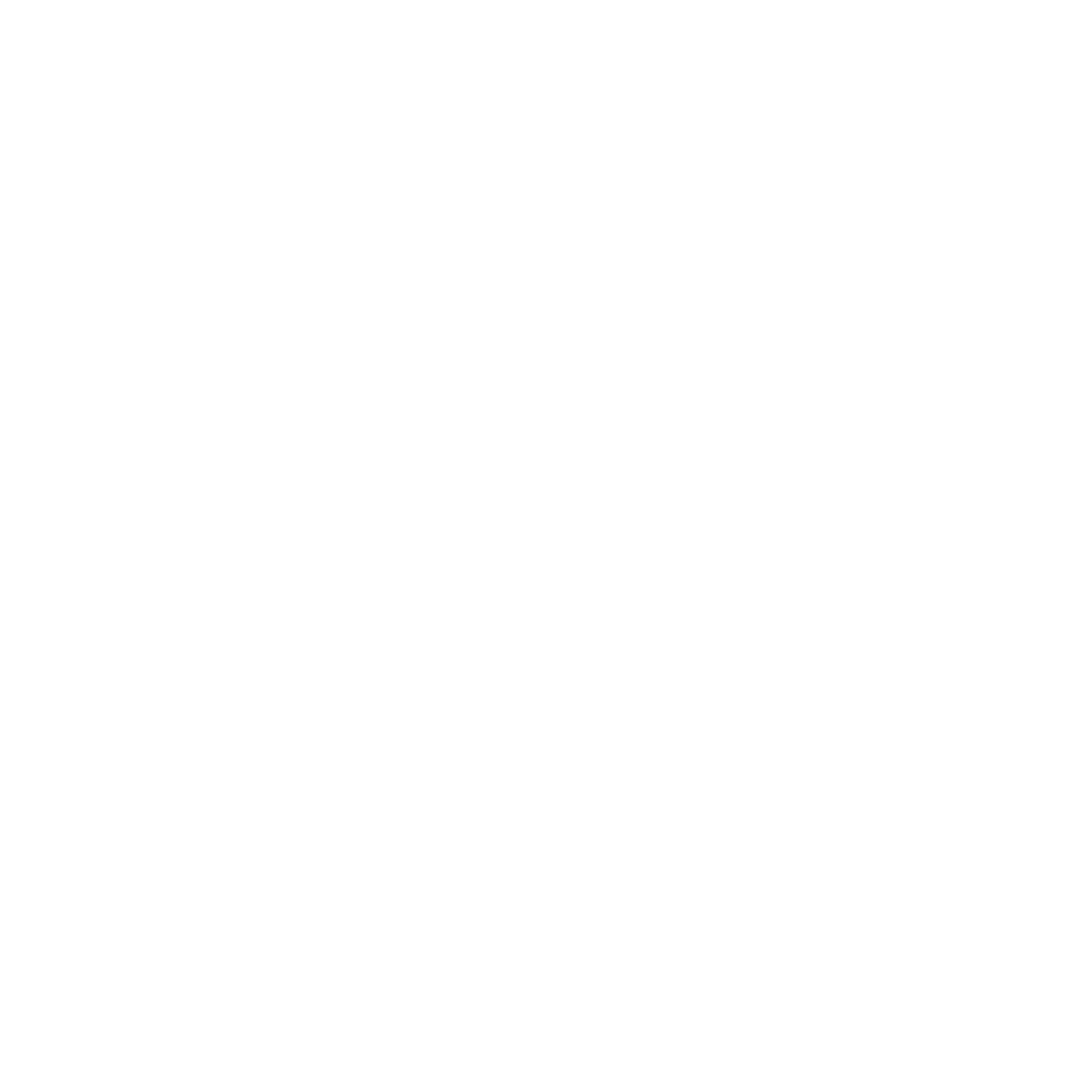 Icon_nextAI (white)