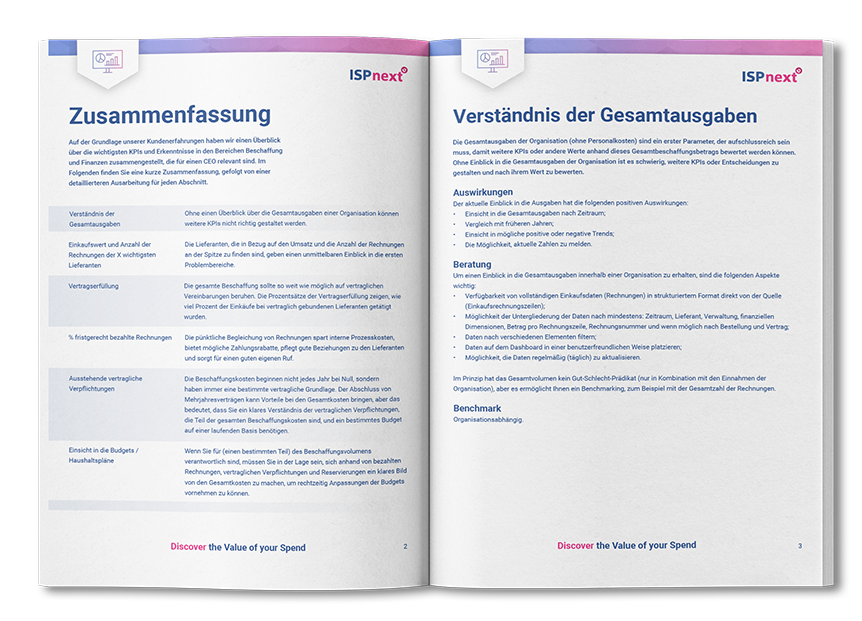 Mockup_Preview_Whitepaper_Spend Dashboarding & KPIs voor CEO (DE)