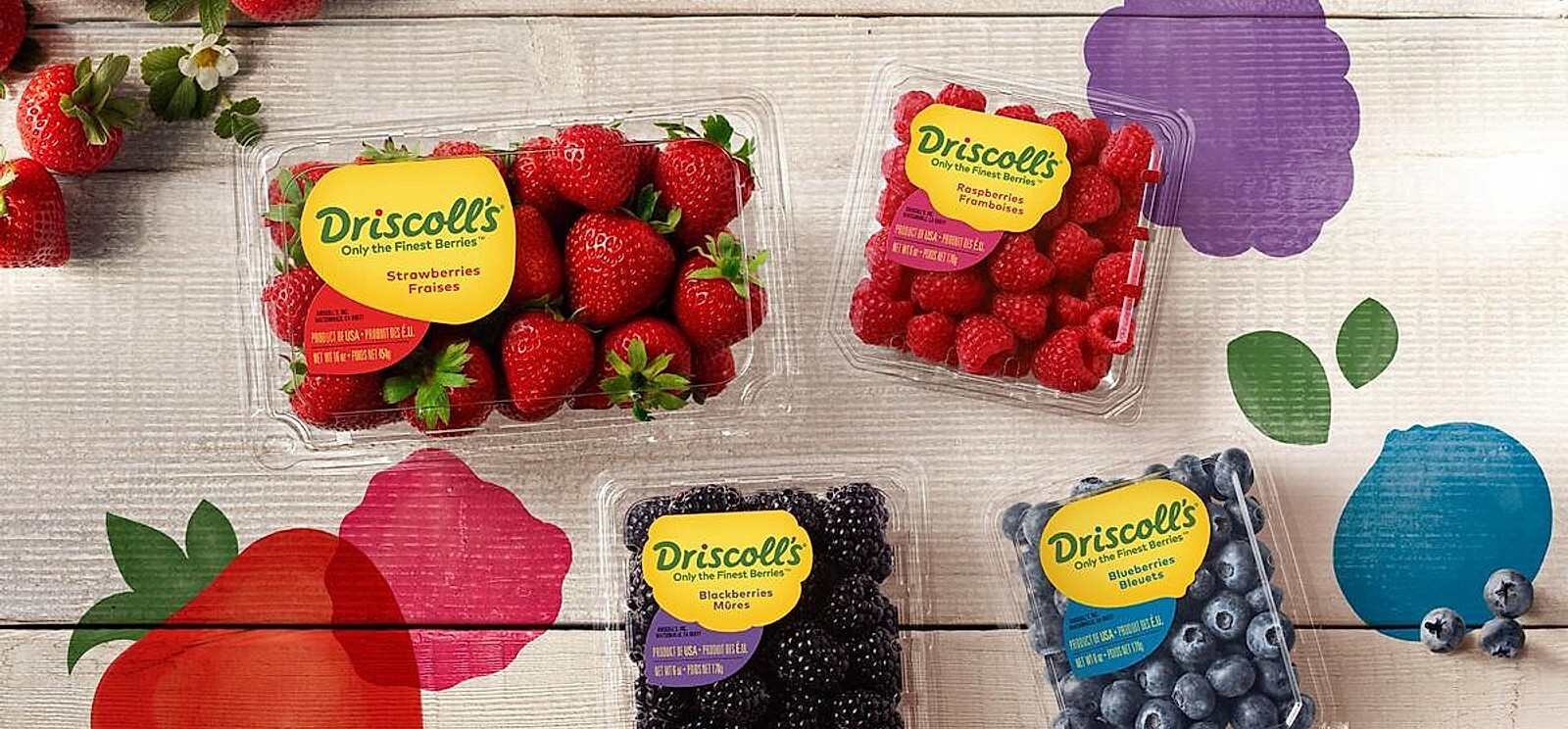 Driscoll's