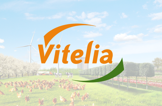 Customer Case | Vitelia | NL Final