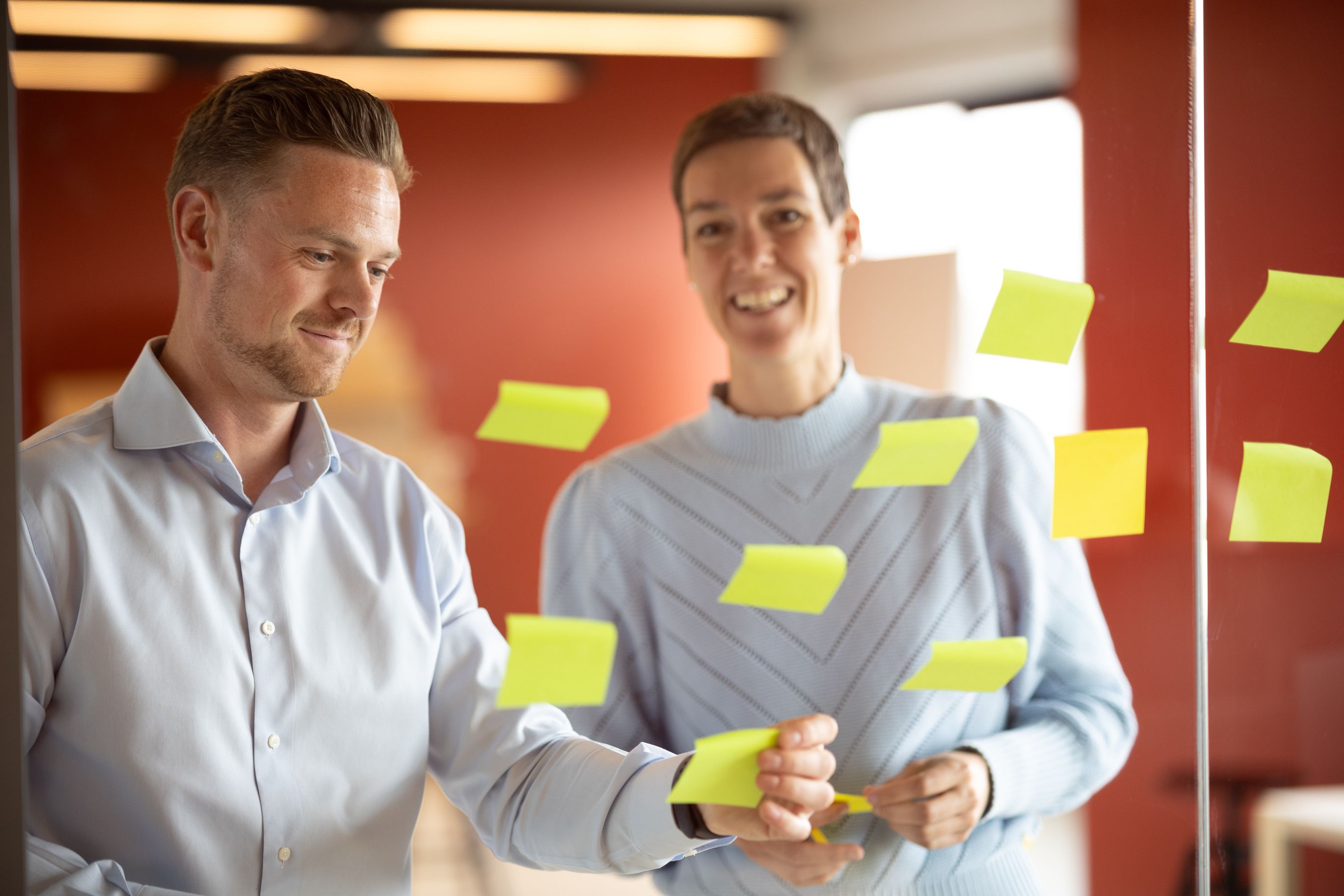 Stage Software Development