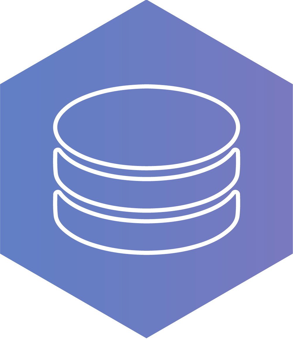 Icon_Gecentraliseerde masterdata_HEX_2x