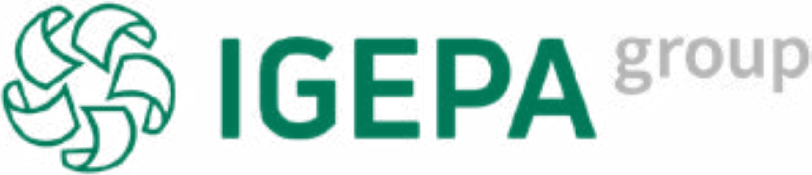 IGEPA Group